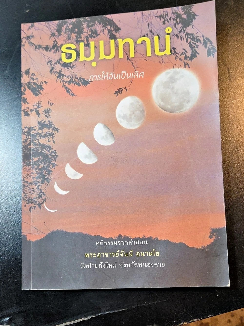 ธมฺมทานํ คติธรรมจากคำสอน พระอาจารย์จันมี อนาลโย Thai Book Pink Black